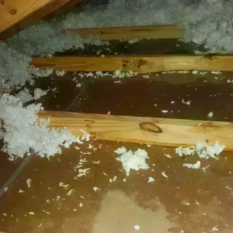 Attic Water Damage in Bunker Hill Village, TX